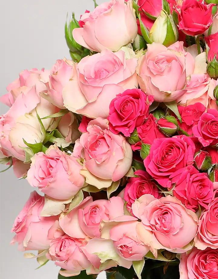 Bouquet di roselline rosa e fuxia